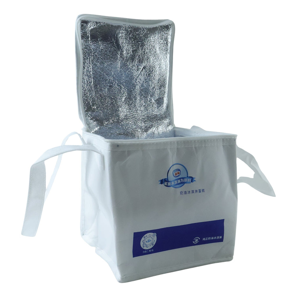 Insulated Thermal Lunch Bag (1 Pc, 23x20 Cm)