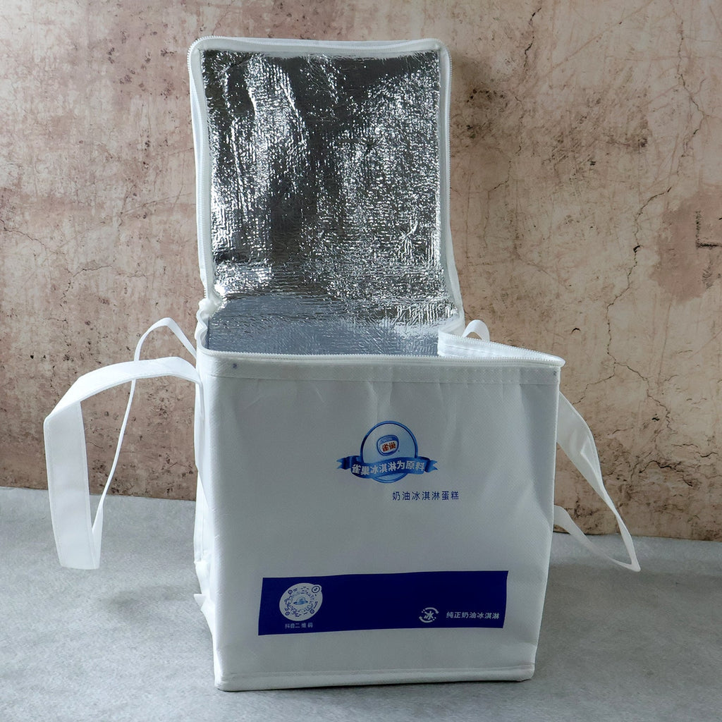 Insulated Thermal Lunch Bag (1 Pc, 23x20 Cm)