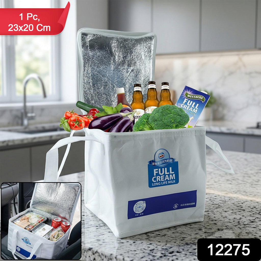 Insulated Thermal Lunch Bag (1 Pc, 23x20 Cm)